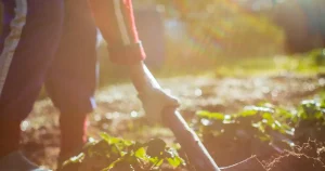 aposentadoria hibrida