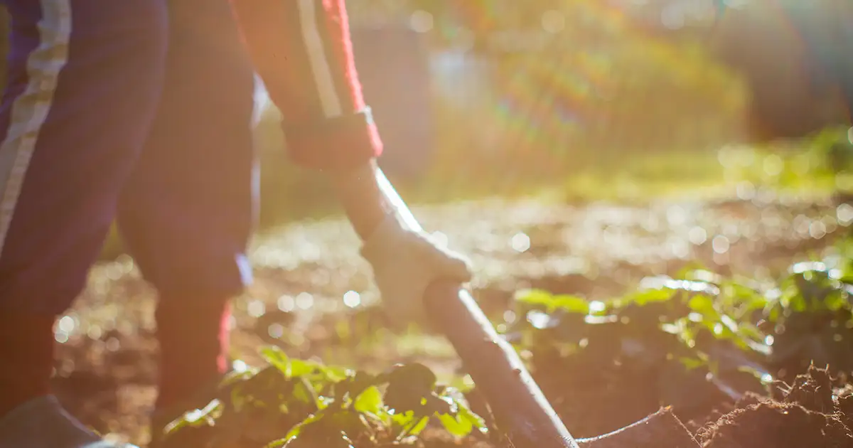 aposentadoria hibrida